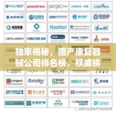 独家揭秘，国产康复器械公司排名榜，权威榜单不容错过！