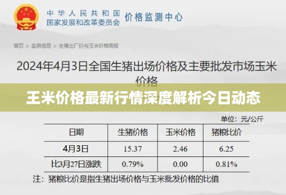 王米价格最新行情深度解析今日动态
