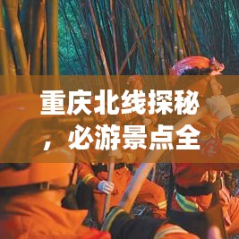 政策优势 第14页