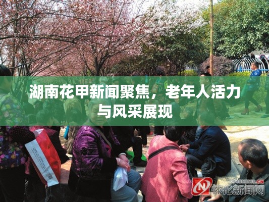 夫妻本是同