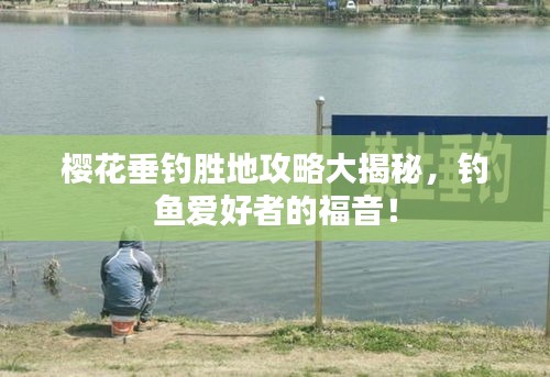 樱花垂钓胜地攻略大揭秘，钓鱼爱好者的福音！