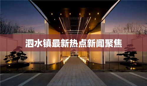 泗水镇最新热点新闻聚焦