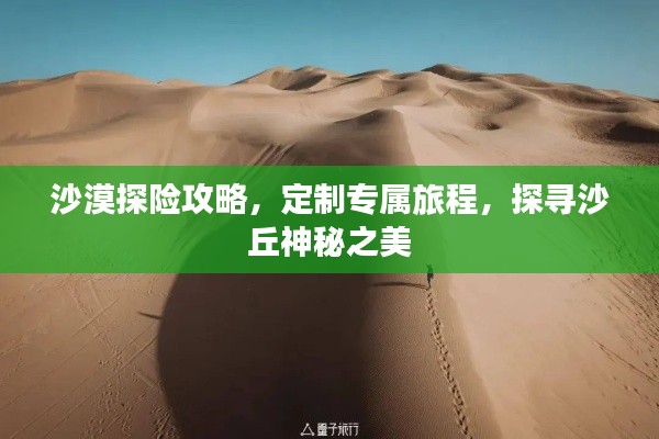 沙漠探险攻略，定制专属旅程，探寻沙丘神秘之美
