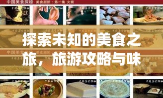 探索未知的美食之旅，旅游攻略与味蕾探险全攻略