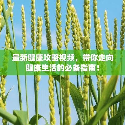 最新健康攻略视频，带你走向健康生活的必备指南！