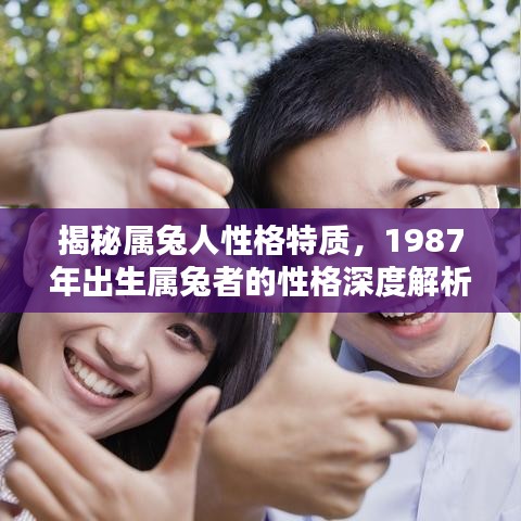 揭秘属兔人性格特质，1987年出生属兔者的性格深度解析