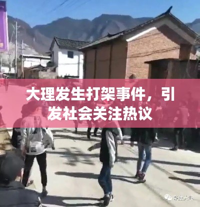 大理发生打架事件，引发社会关注热议