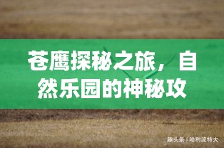 鸟惊鱼骇