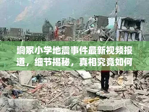 垌冢小学地震事件最新视频报道，细节揭秘，真相究竟如何？