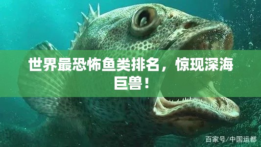 世界最恐怖鱼类排名，惊现深海巨兽！