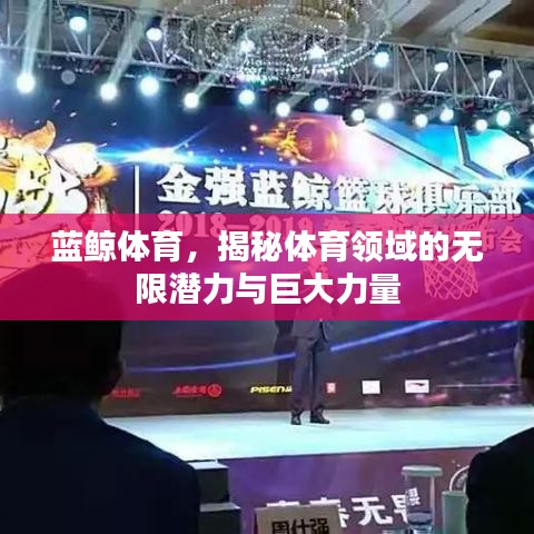 蓝鲸体育，揭秘体育领域的无限潜力与巨大力量