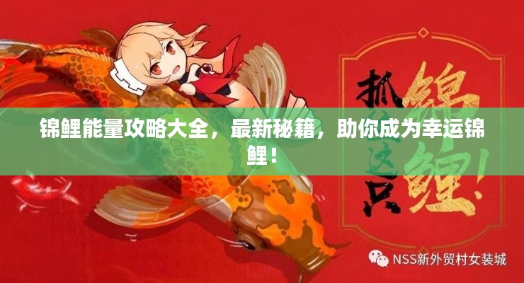 锦鲤能量攻略大全，最新秘籍，助你成为幸运锦鲤！