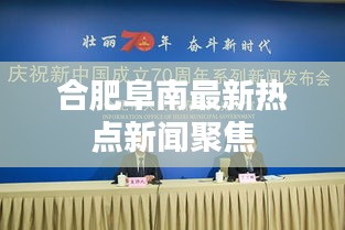 合肥阜南最新热点新闻聚焦