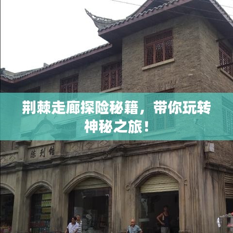 荆棘走廊探险秘籍，带你玩转神秘之旅！
