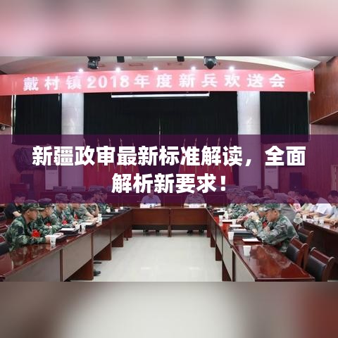 新疆政审最新标准解读，全面解析新要求！