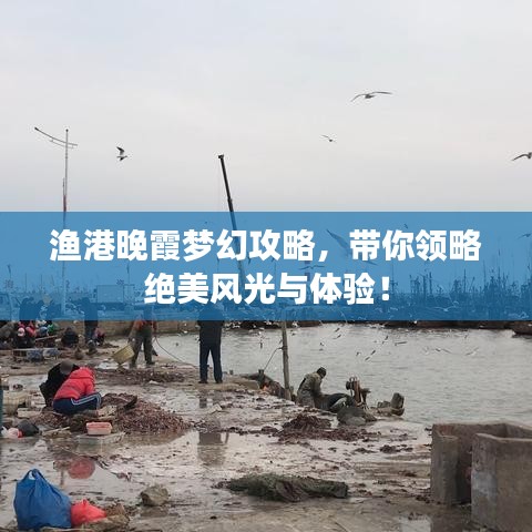 渔港晚霞梦幻攻略，带你领略绝美风光与体验！