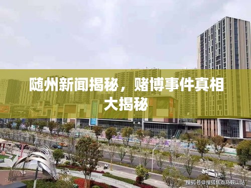 随州新闻揭秘，赌博事件真相大揭秘