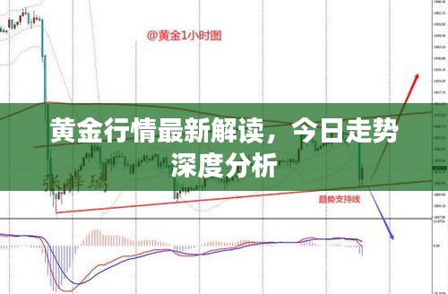 黄金行情最新解读，今日走势深度分析
