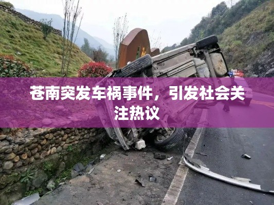 苍南突发车祸事件，引发社会关注热议