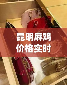 昆明麻鸡价格实时更新，最新动态一览