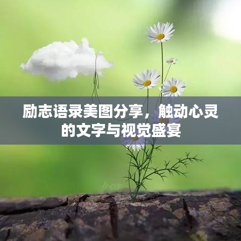 励志语录美图分享，触动心灵的文字与视觉盛宴