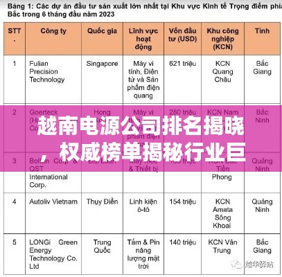 越南电源公司排名揭晓，权威榜单揭秘行业巨头！