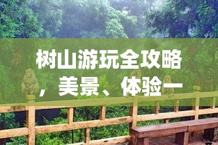 树山游玩全攻略，美景、体验一网打尽！