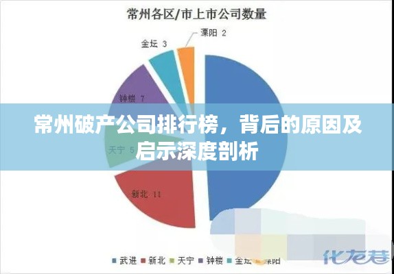 常州破产公司排行榜，背后的原因及启示深度剖析