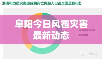 阜阳今日风雹灾害最新动态