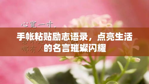 秀色可餐