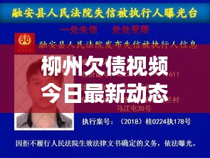 风驰电掣