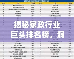揭秘家政行业巨头排名榜，洞悉竞争态势与行业趋势