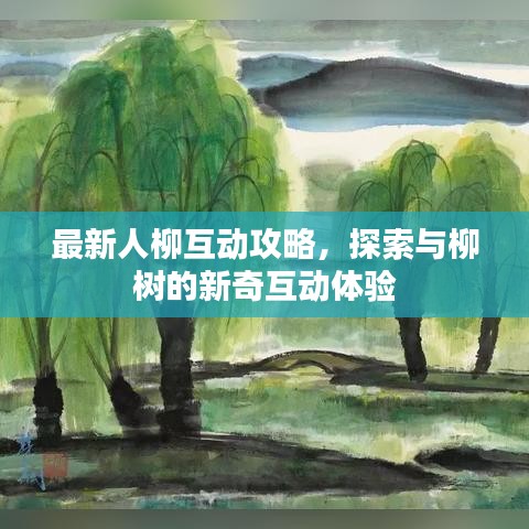 最新人柳互动攻略，探索与柳树的新奇互动体验