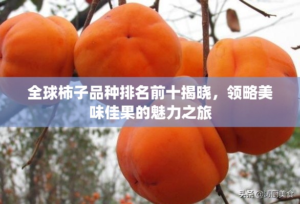 全球柿子品种排名前十揭晓，领略美味佳果的魅力之旅
