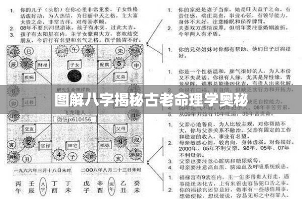 图解八字揭秘古老命理学奥秘