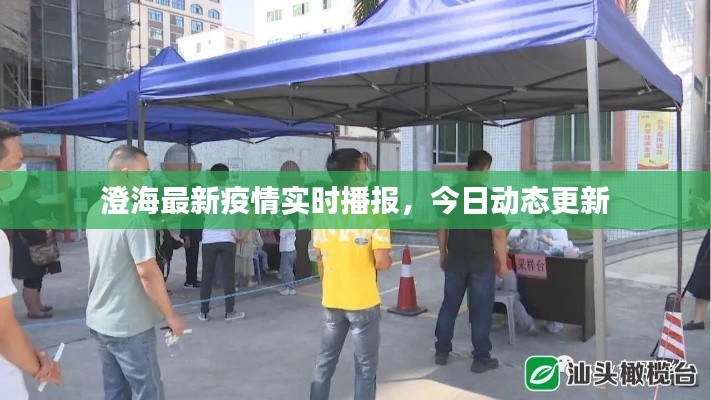 澄海最新疫情实时播报，今日动态更新