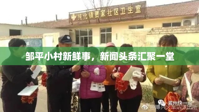 邹平小村新鲜事，新闻头条汇聚一堂