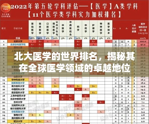 北大医学的世界排名，揭秘其在全球医学领域的卓越地位