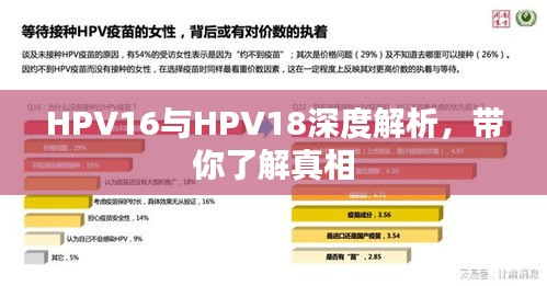 HPV16与HPV18深度解析，带你了解真相