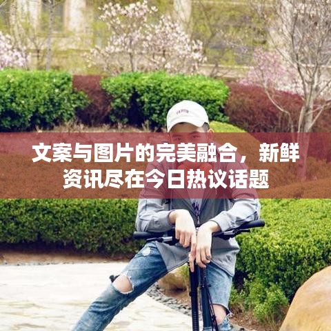 文案与图片的完美融合，新鲜资讯尽在今日热议话题