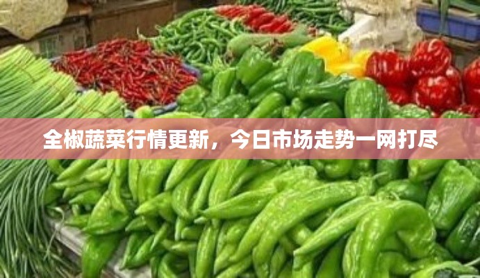全椒蔬菜行情更新，今日市场走势一网打尽