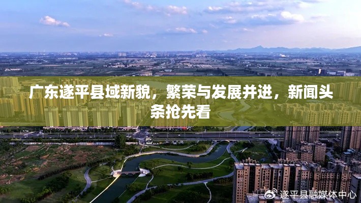 广东遂平县域新貌，繁荣与发展并进，新闻头条抢先看